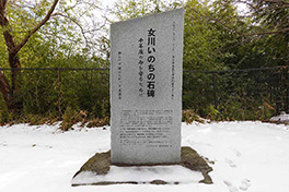 【宮城県】女川いのちの石碑（ひ）・女川中学校